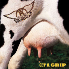 Aerosmith Get A Grip - Plak