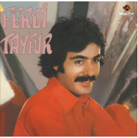 Ferdi Tayfur Postacılar Plak (Gri Renkli)